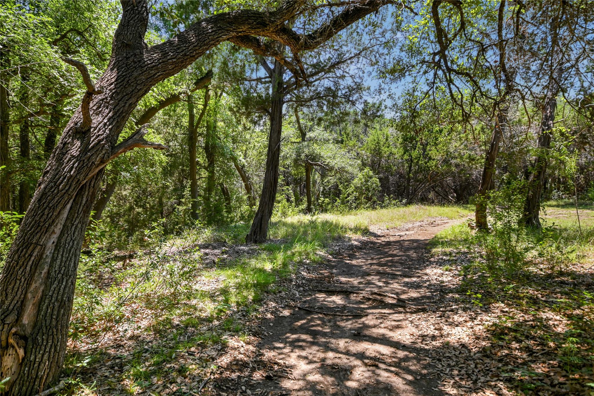 810 Crestone Stream Dr Property Photo 30