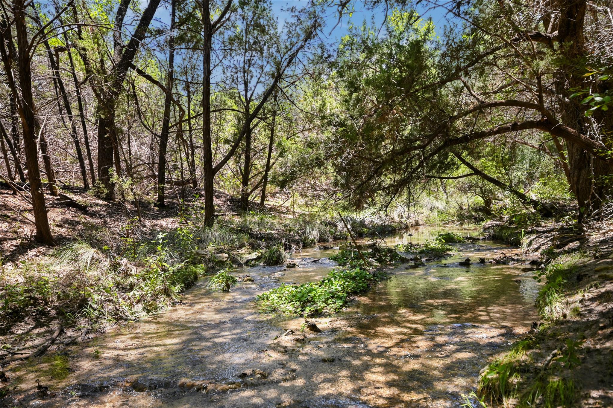 810 Crestone Stream Dr Property Photo 31