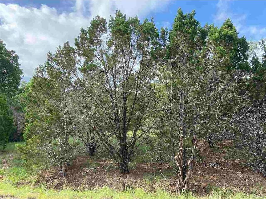 K10041 Bald Eagle Property Photo 11