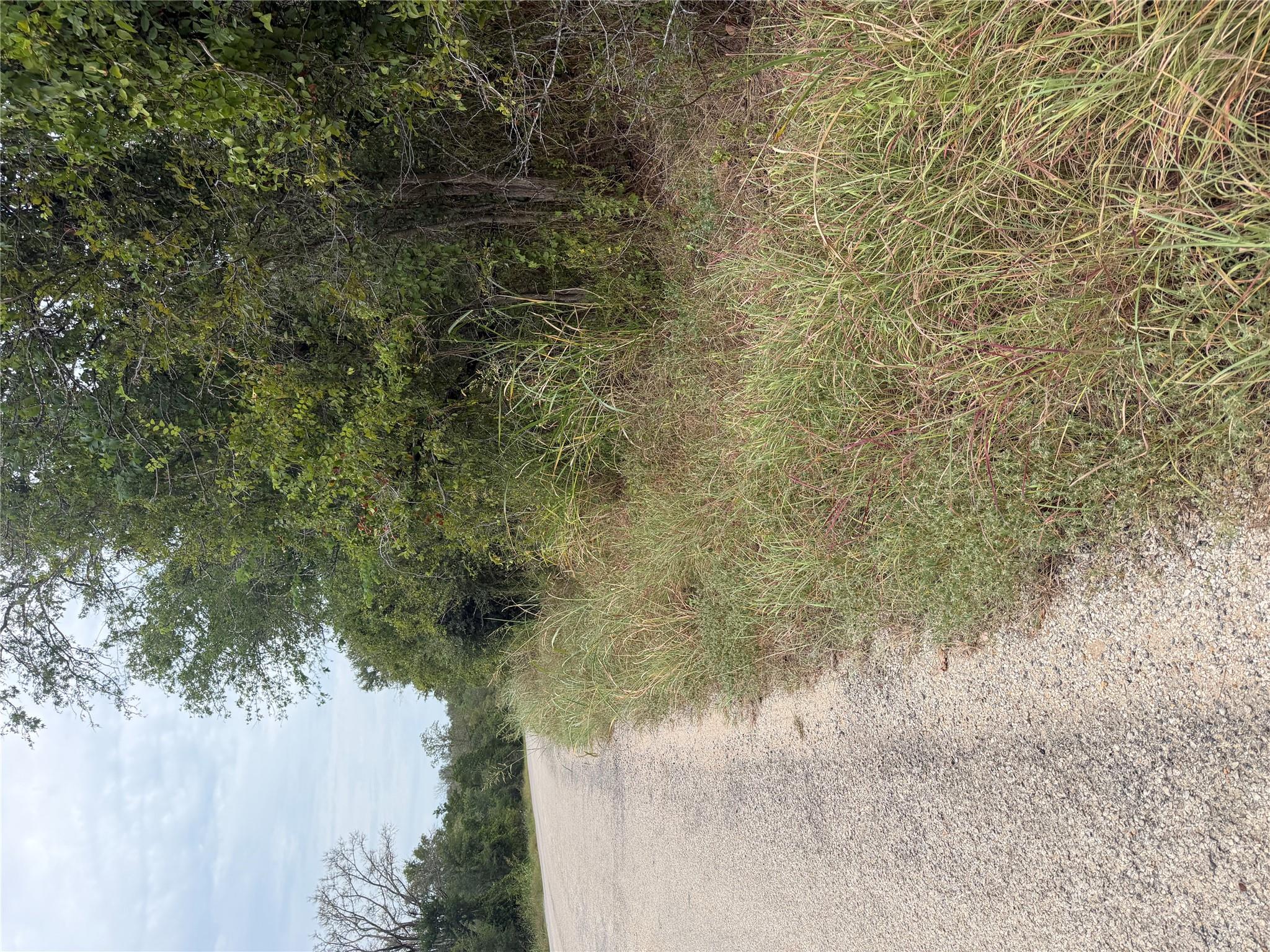 Lots 451 Property Photo 1