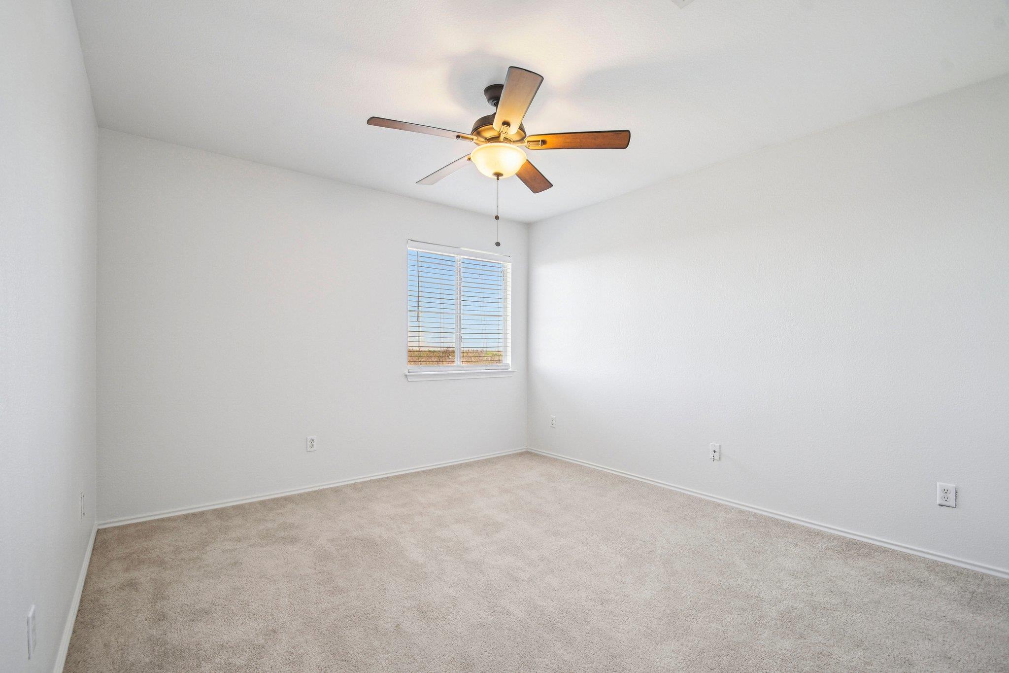217 Killian Loop Property Photo 24