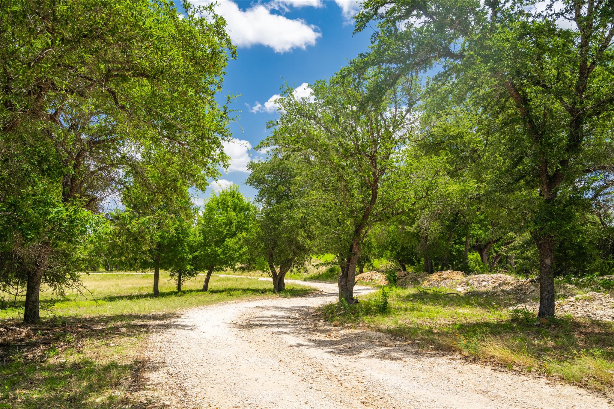 301 Blessing Ranch Rd Property Photo 6