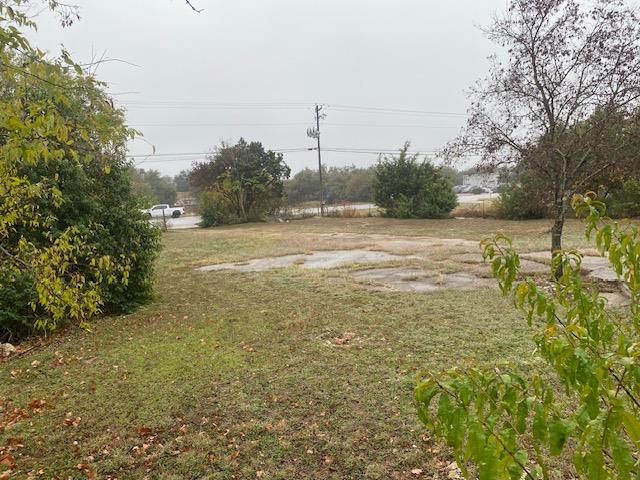 503 Crystal Falls Pkwy Property Photo 4