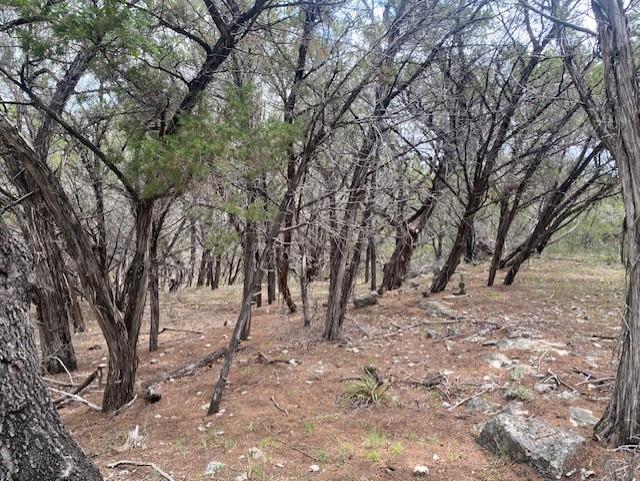 20902 Stone Cliff Dr Property Photo 3
