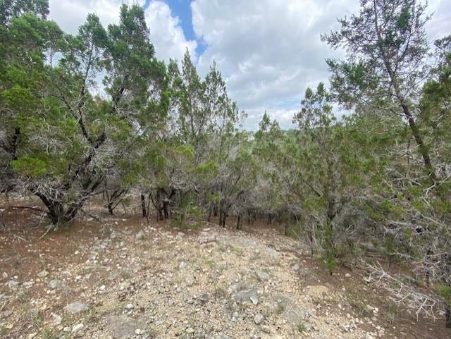 20902 Stone Cliff Dr Property Photo 6