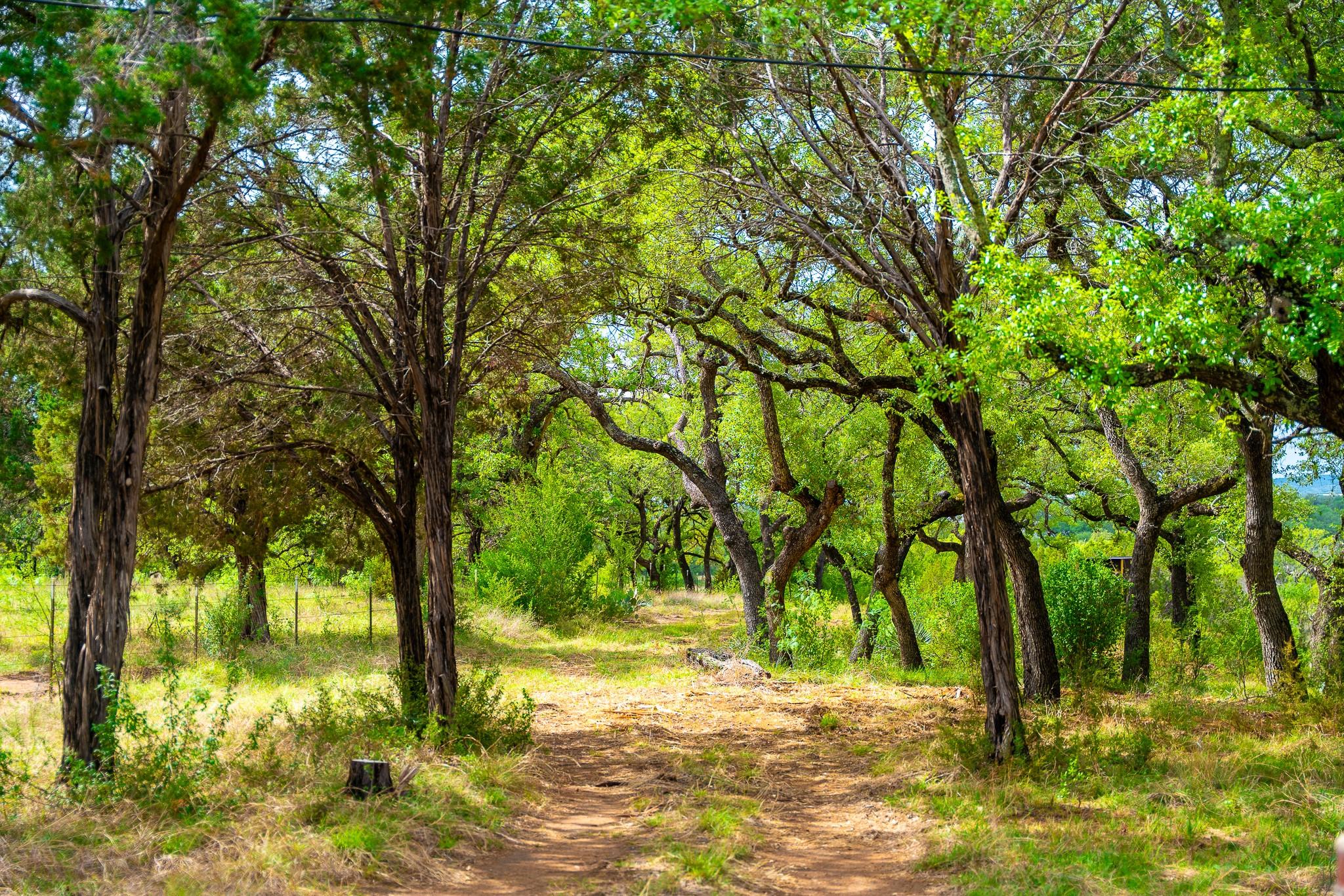28205 Turner Ranch Rd Property Photo 13