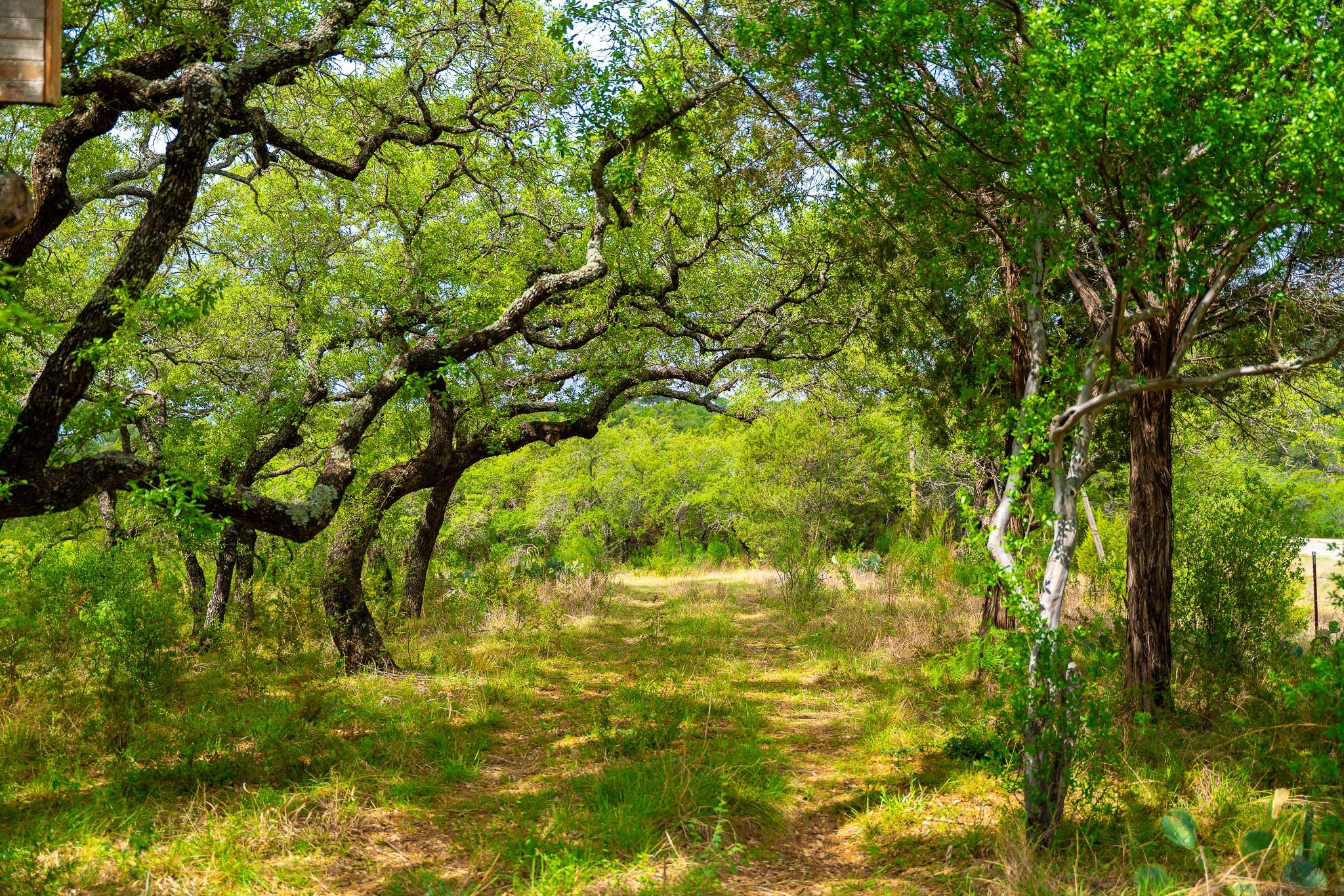 28205 Turner Ranch Rd Property Photo 14