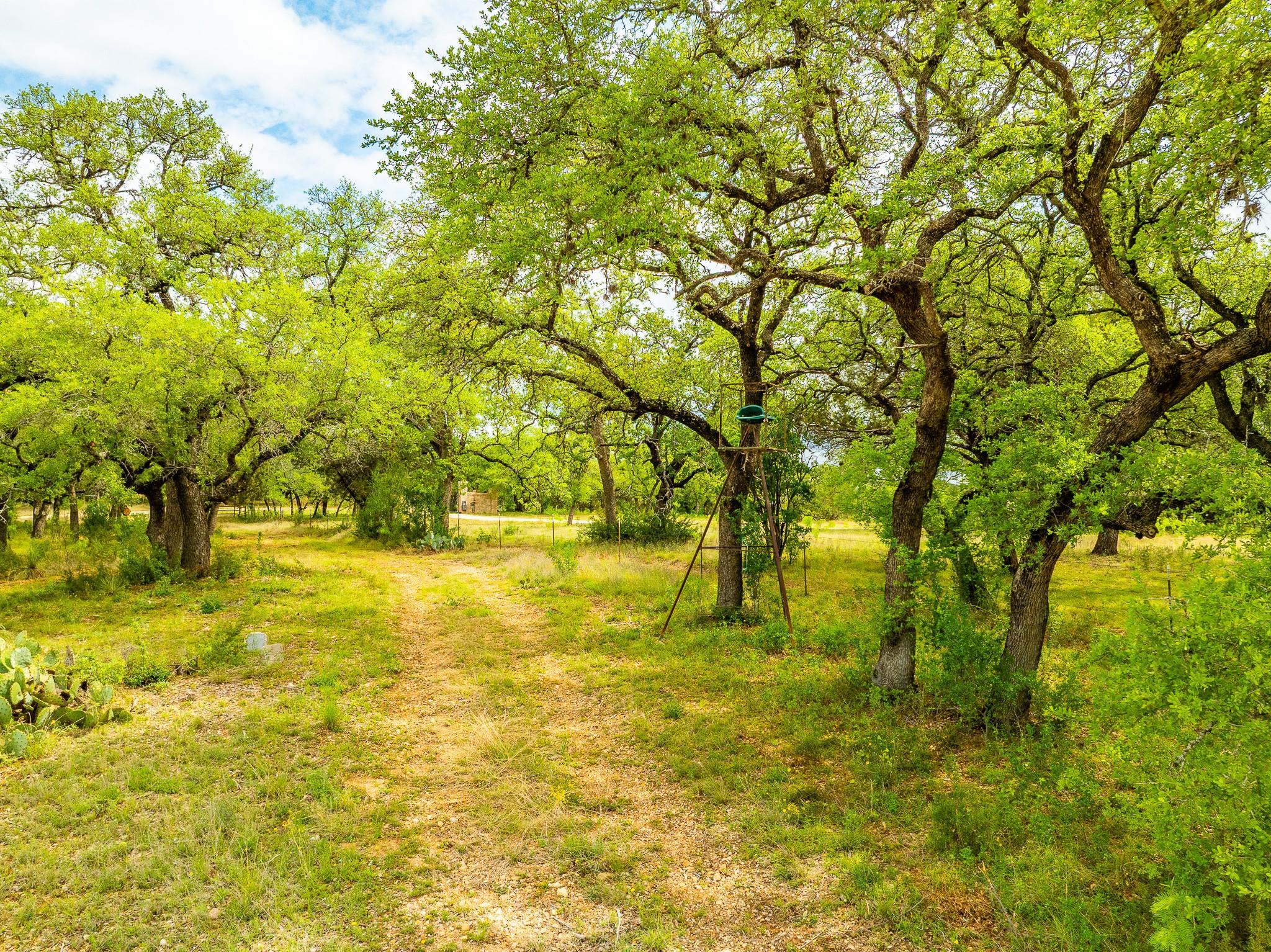 28205 Turner Ranch Rd Property Photo 15