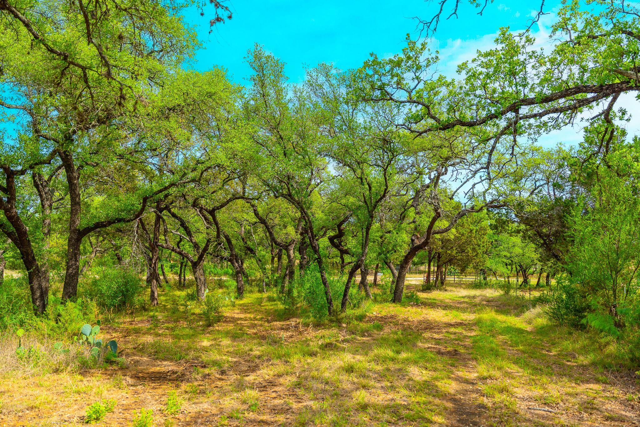28205 Turner Ranch Rd Property Photo 16