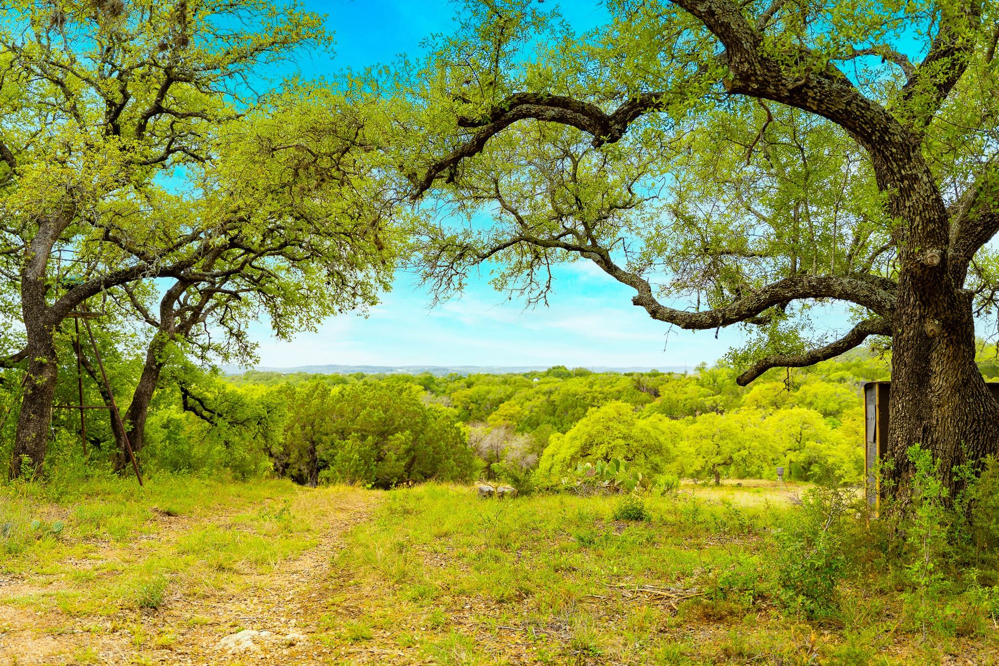28205 Turner Ranch Rd Property Photo 17