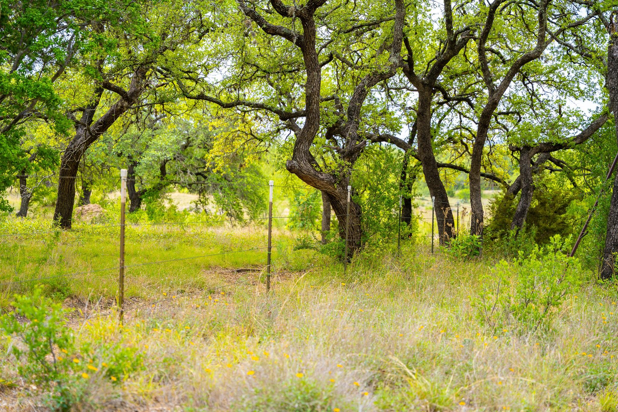 28205 Turner Ranch Rd Property Photo 21