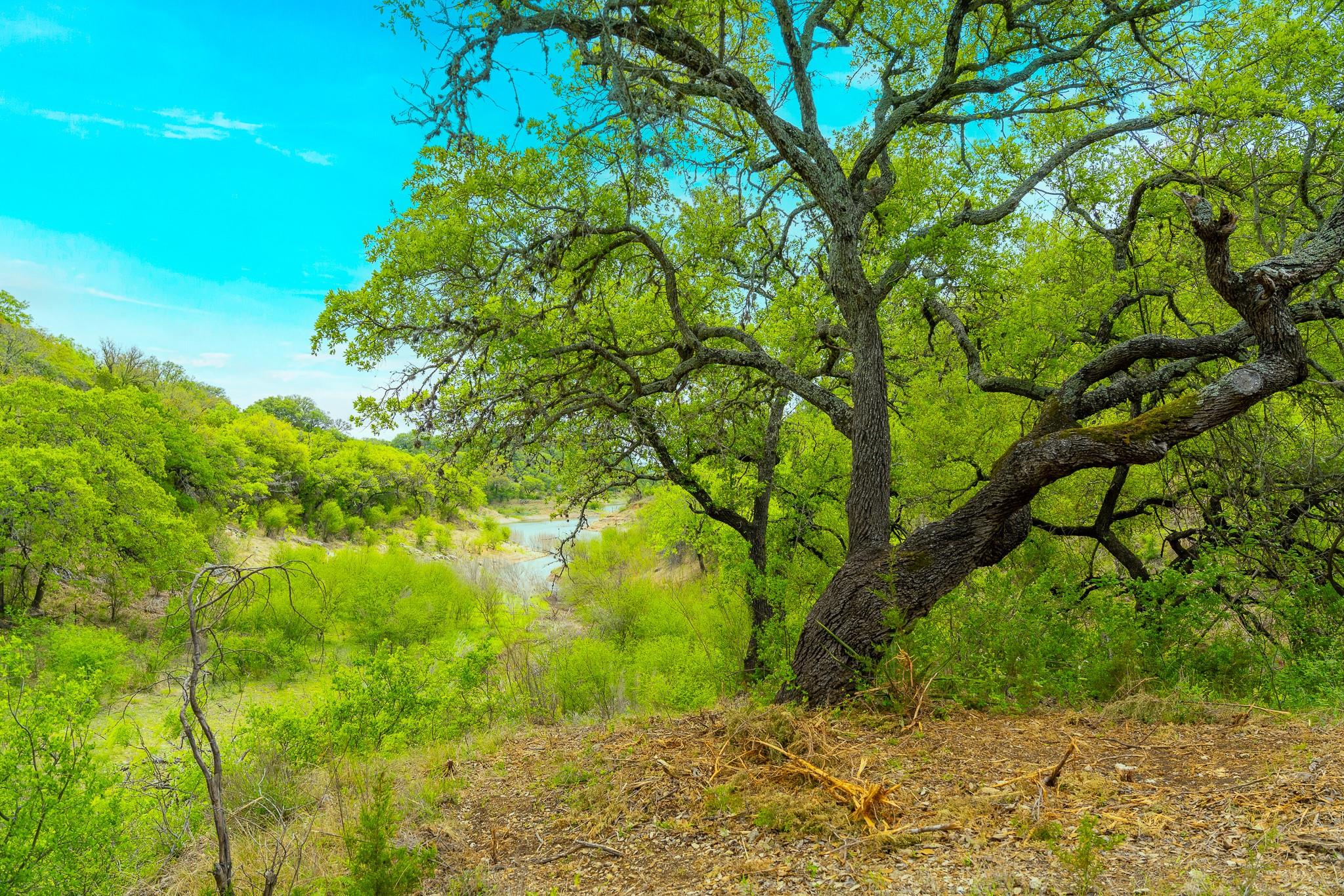 28205 Turner Ranch Rd Property Photo 24