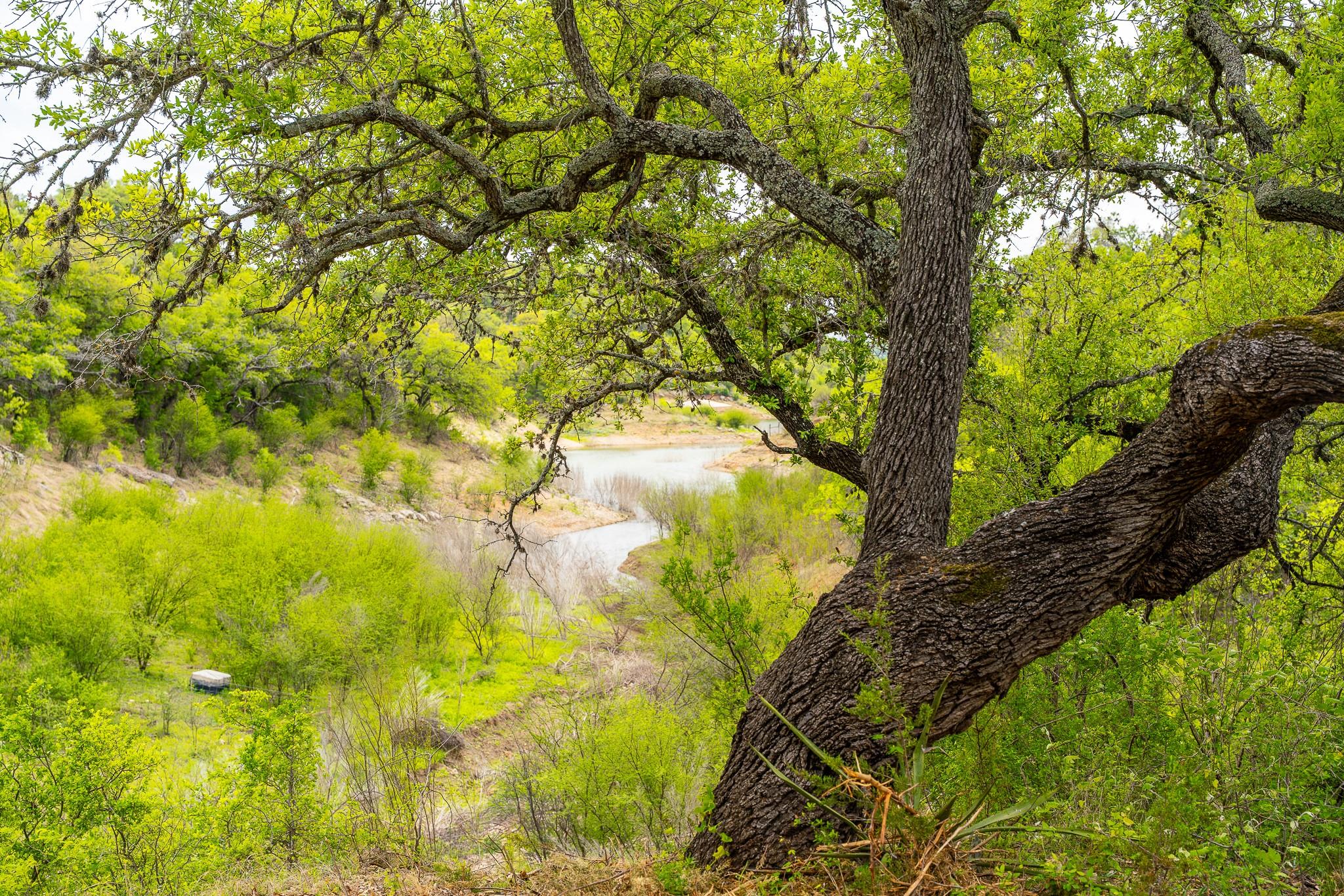 28205 Turner Ranch Rd Property Photo 25