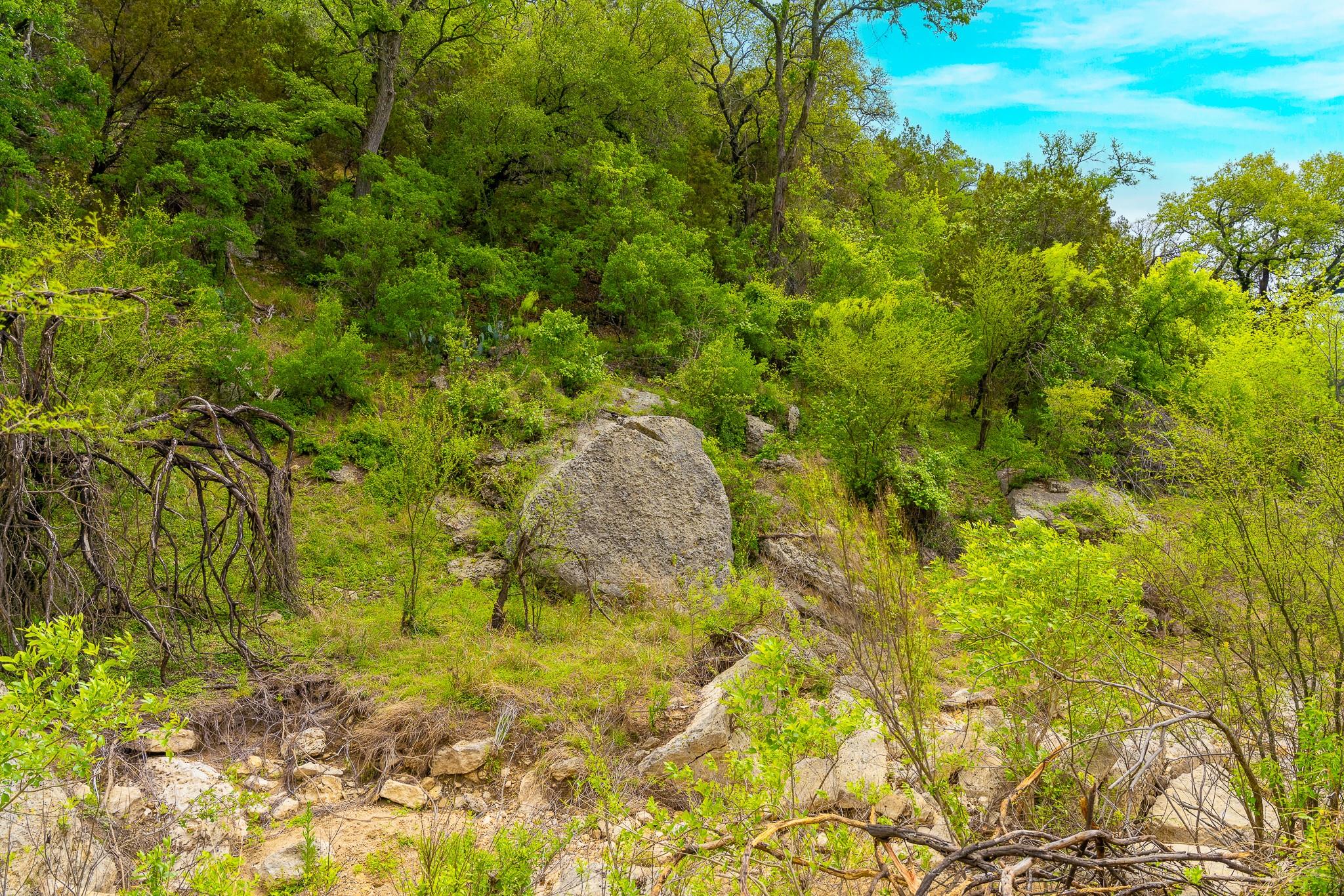 28205 Turner Ranch Rd Property Photo 26