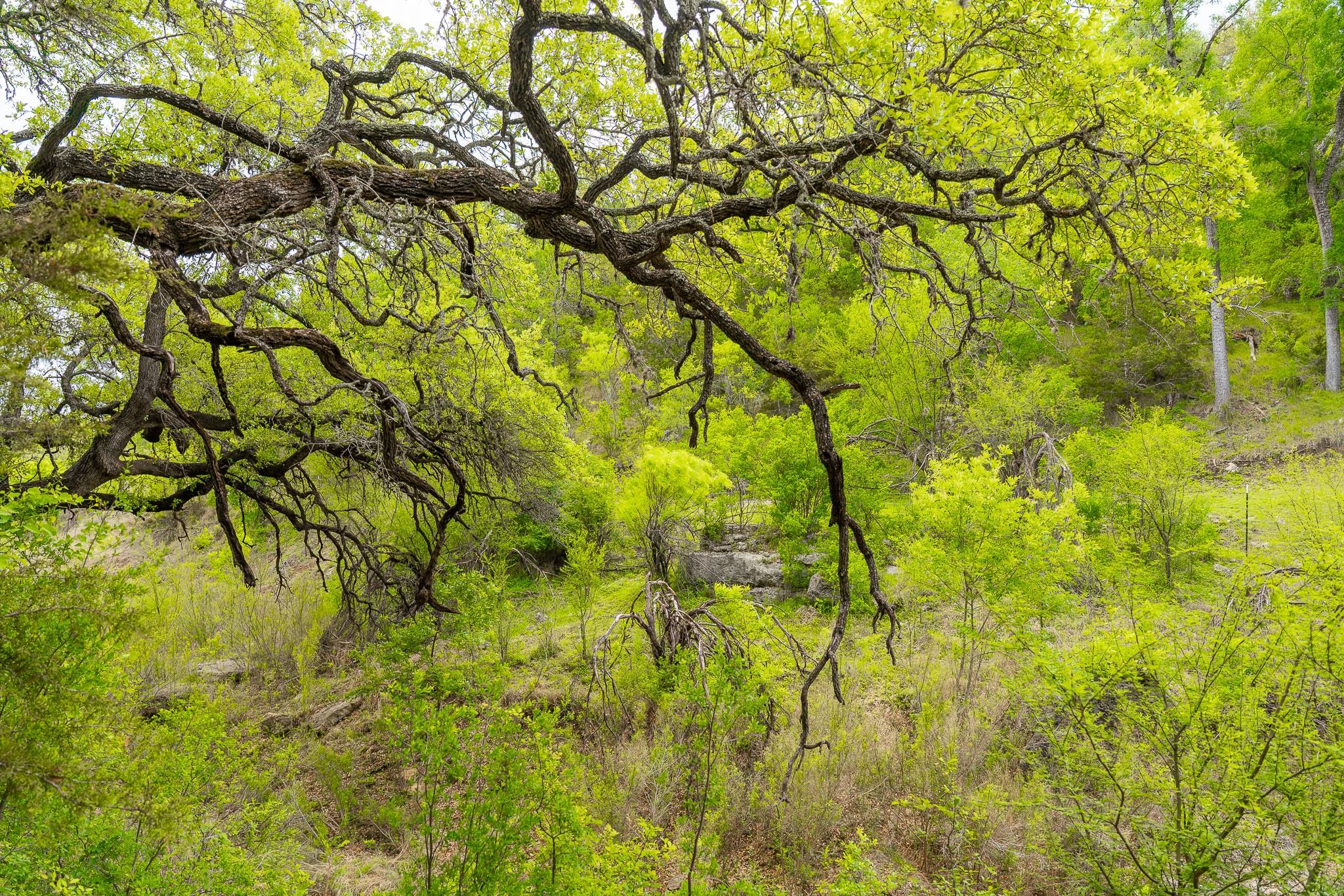 28205 Turner Ranch Rd Property Photo 30