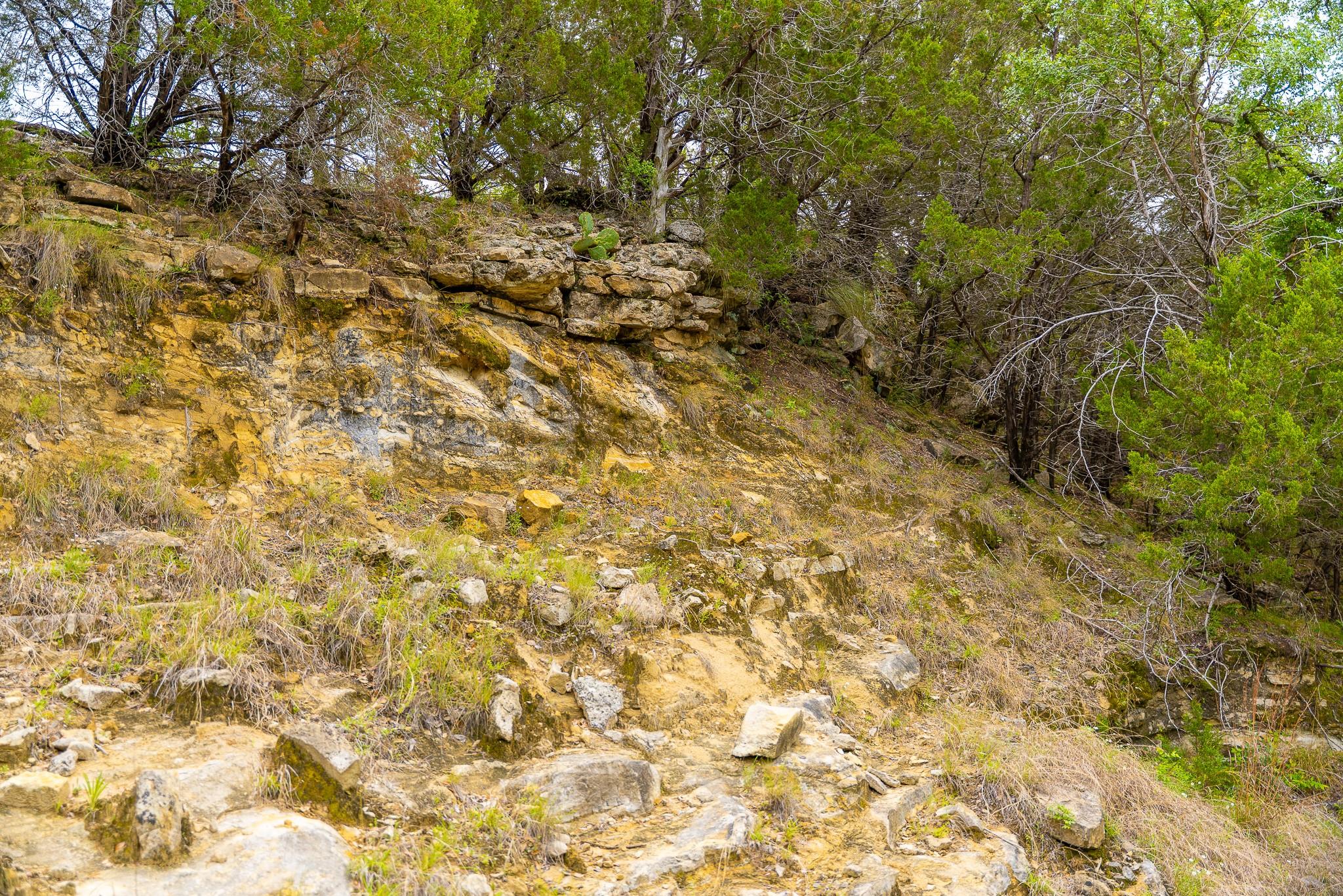 28205 Turner Ranch Rd Property Photo 37