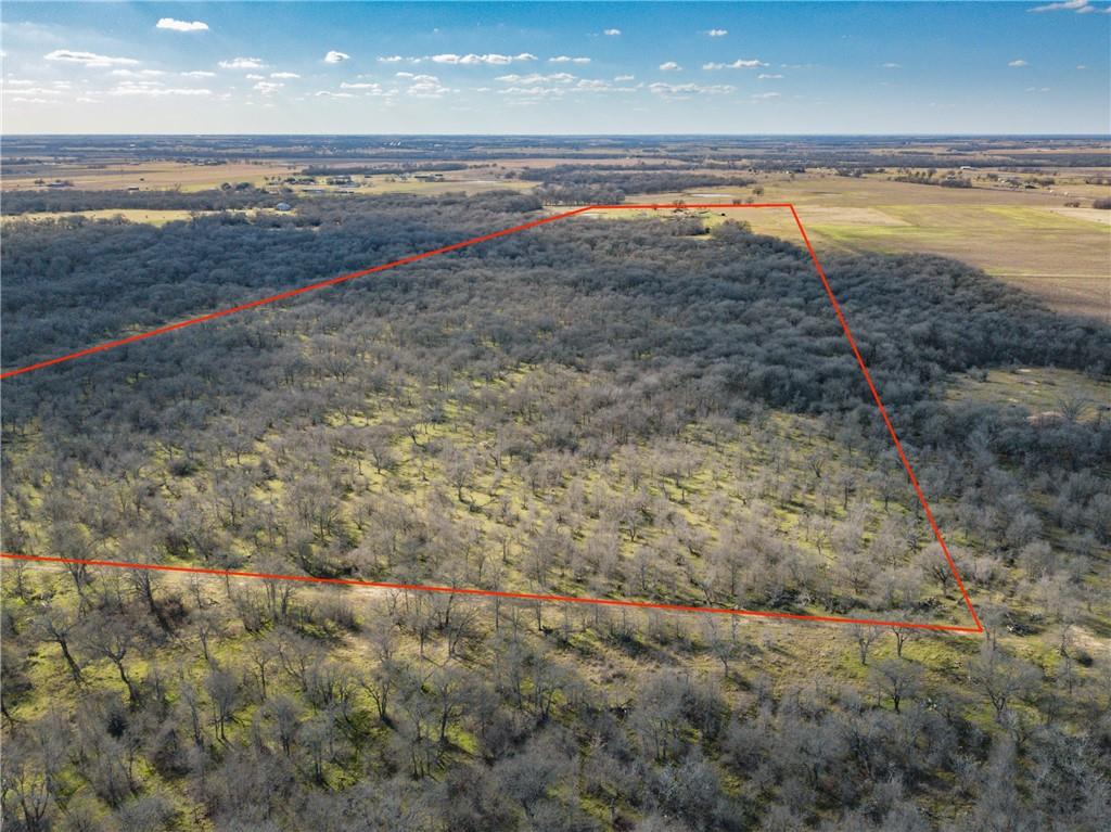 2565 County Rd 442 None Property Photo 4