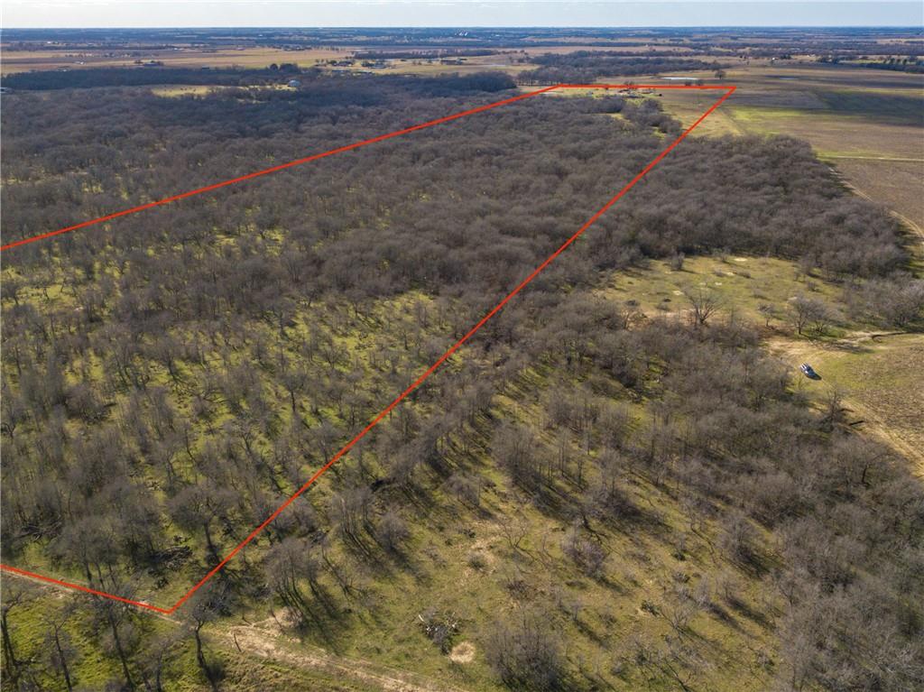 2565 County Rd 442 None Property Photo 5