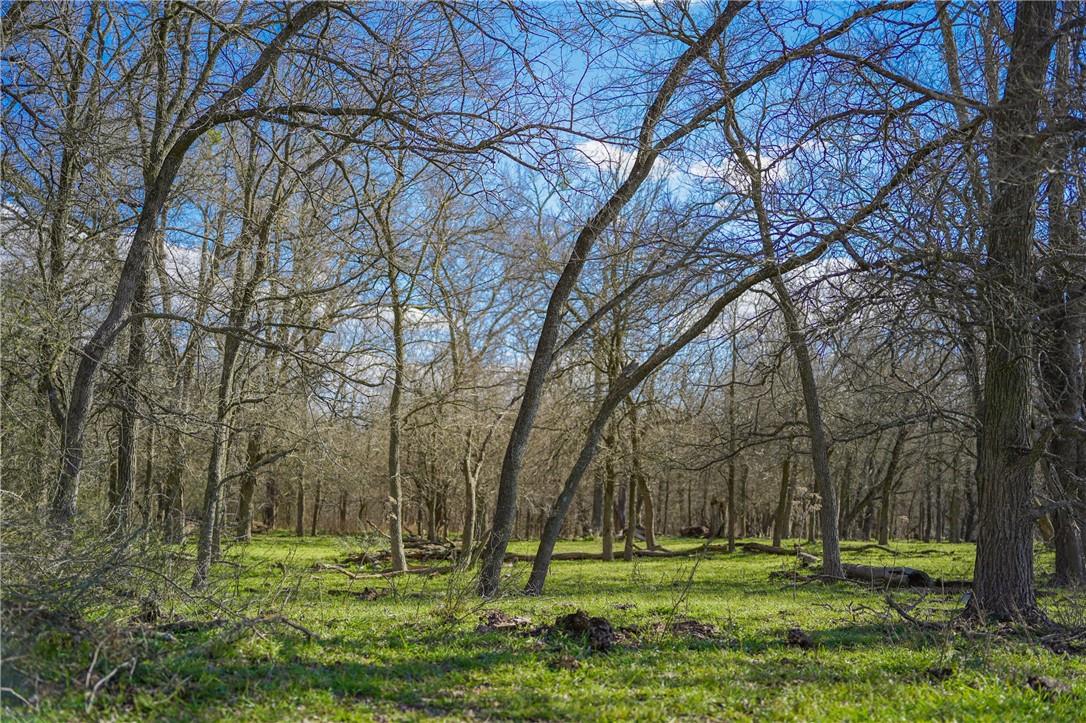 2565 County Rd 442 None Property Photo 11