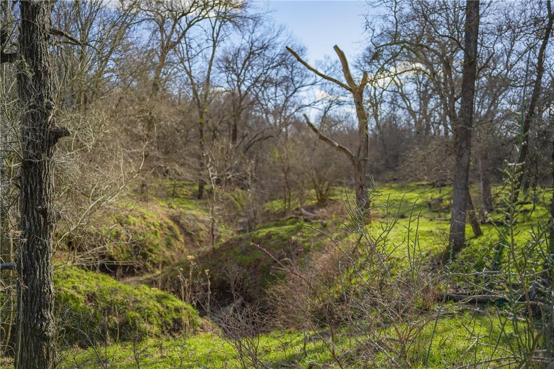 2565 County Rd 442 None Property Photo 12