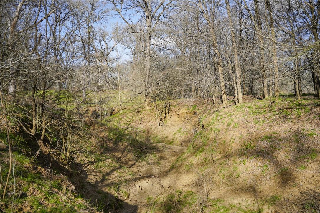 2565 County Rd 442 None Property Photo 13