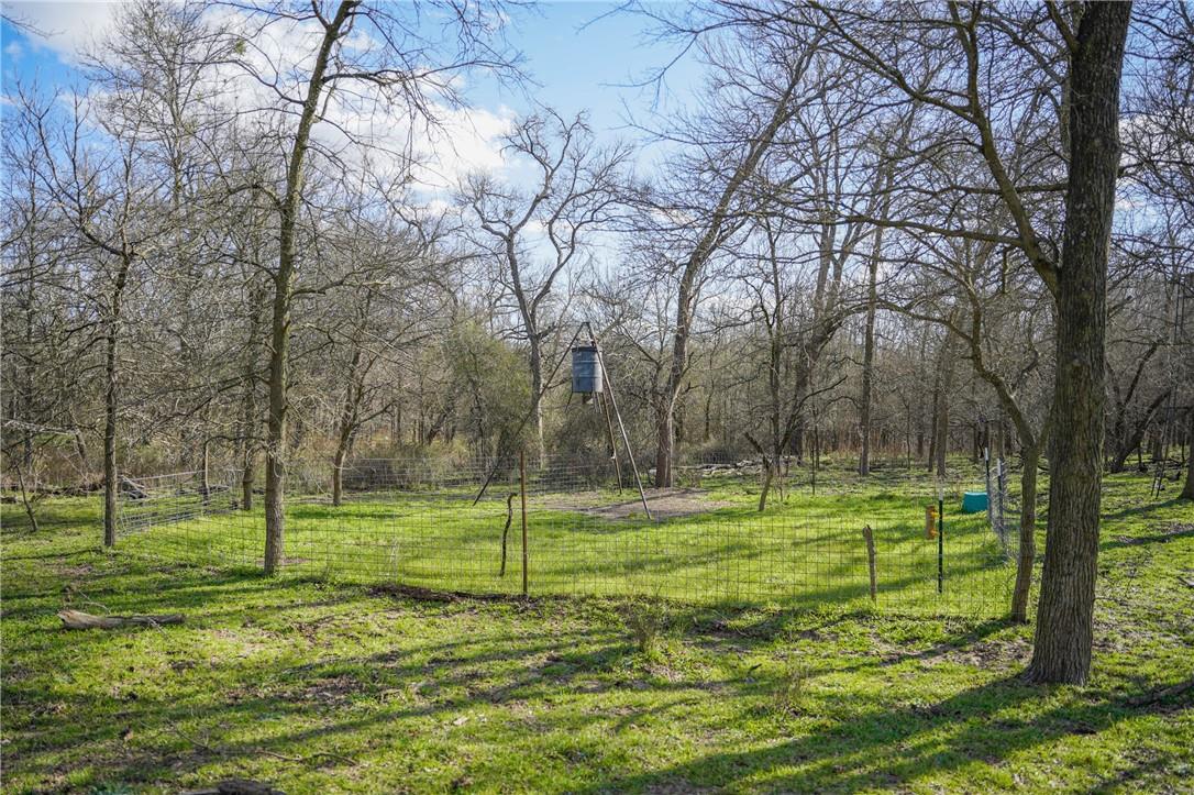2565 County Rd 442 None Property Photo 14