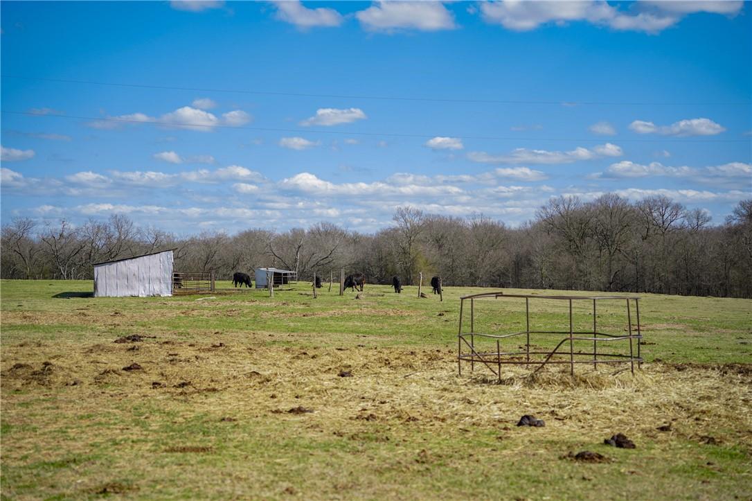 2565 County Rd 442 None Property Photo 16