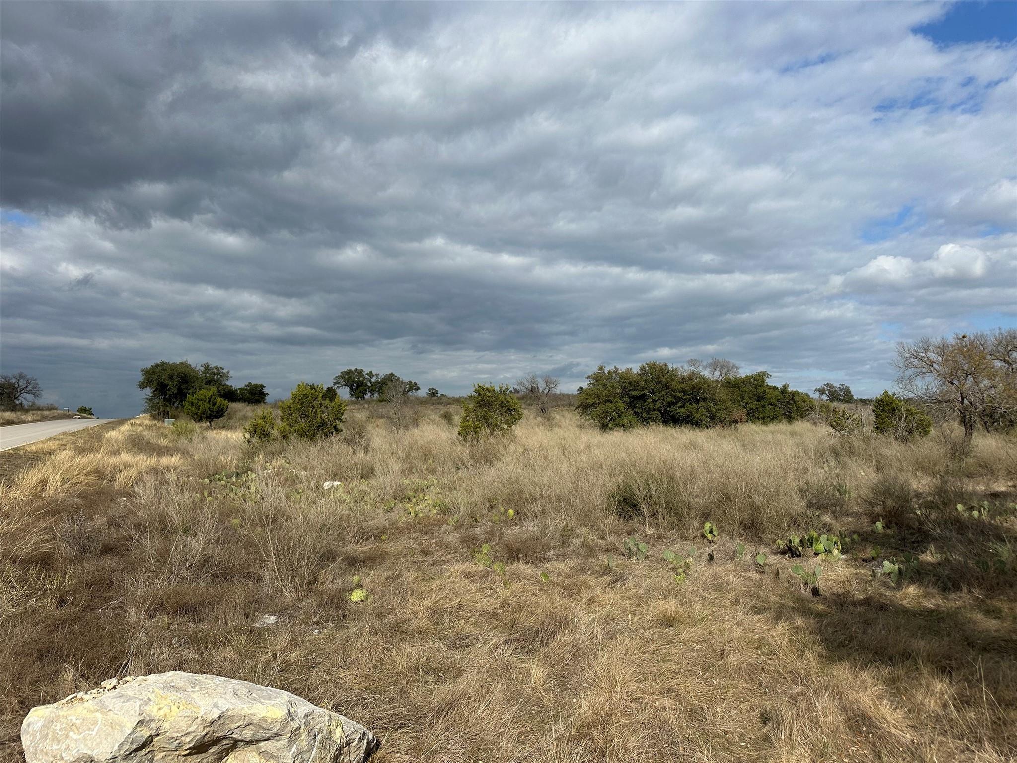 409 Spicewood Trails Dr Property Photo 2