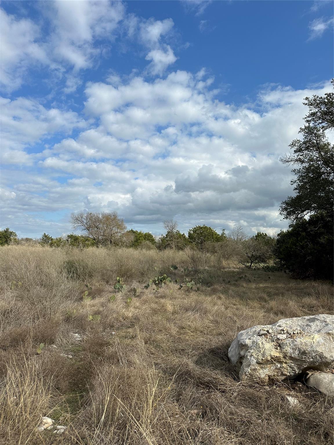 409 Spicewood Trails Dr Property Photo 7