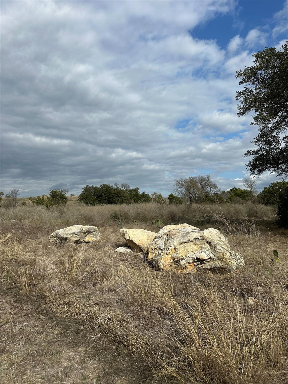409 Spicewood Trails Dr Property Photo 8