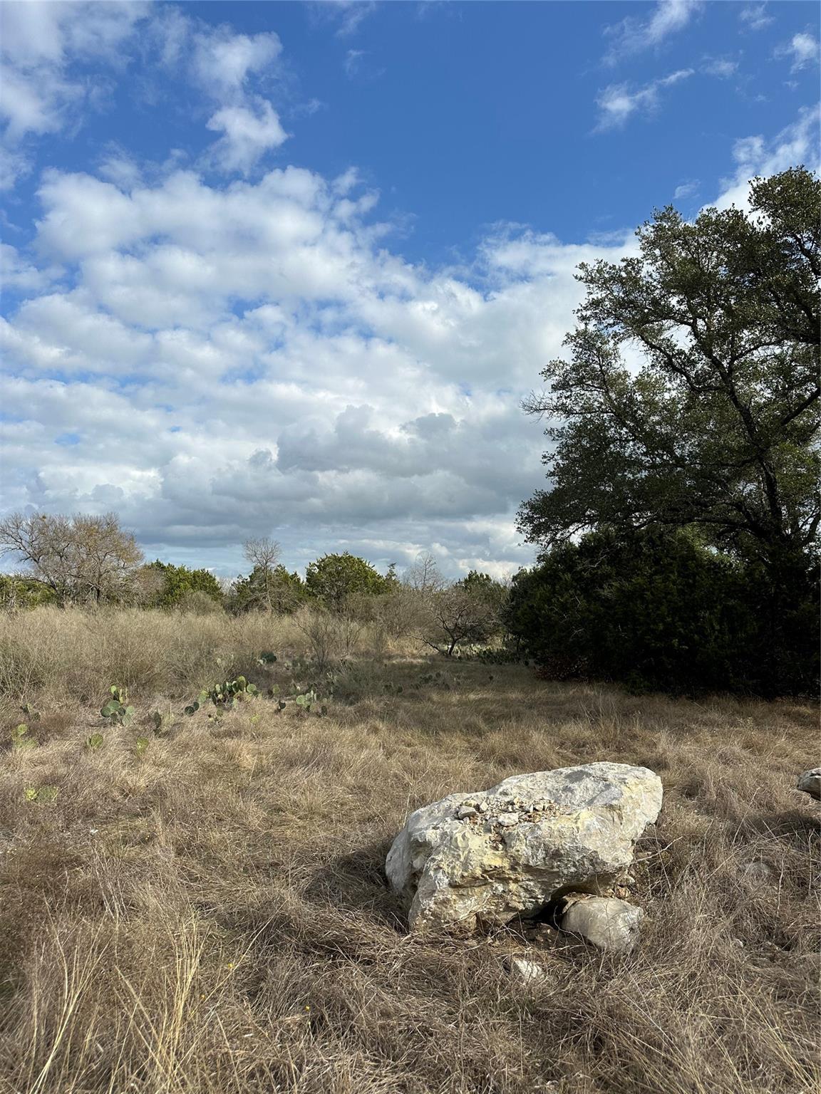 409 Spicewood Trails Dr Property Photo 11