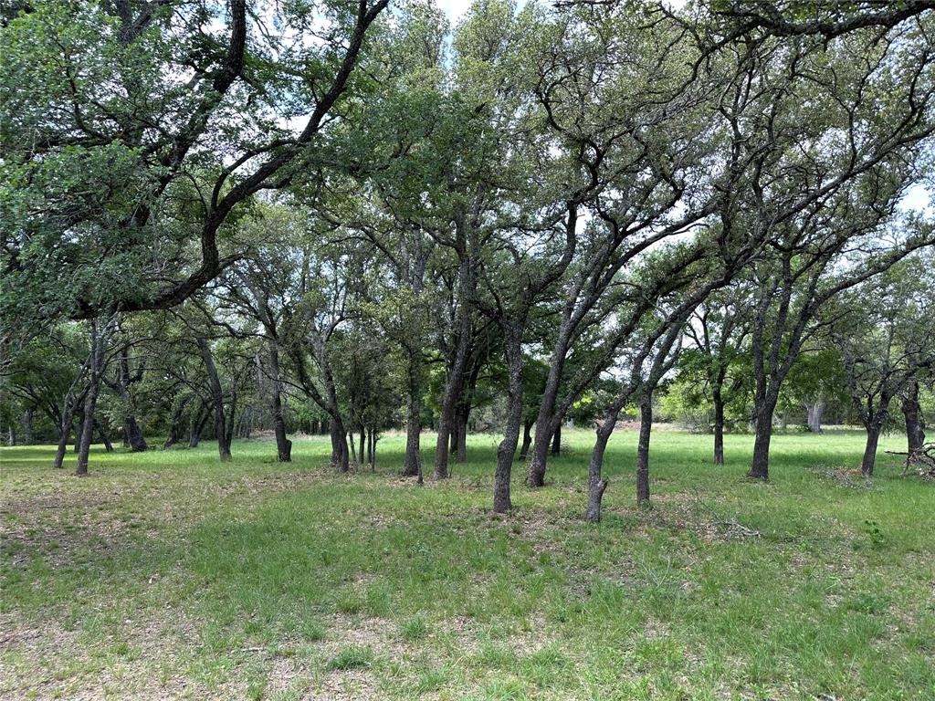 Lot 7 Morning Dew Dr Property Photo 10