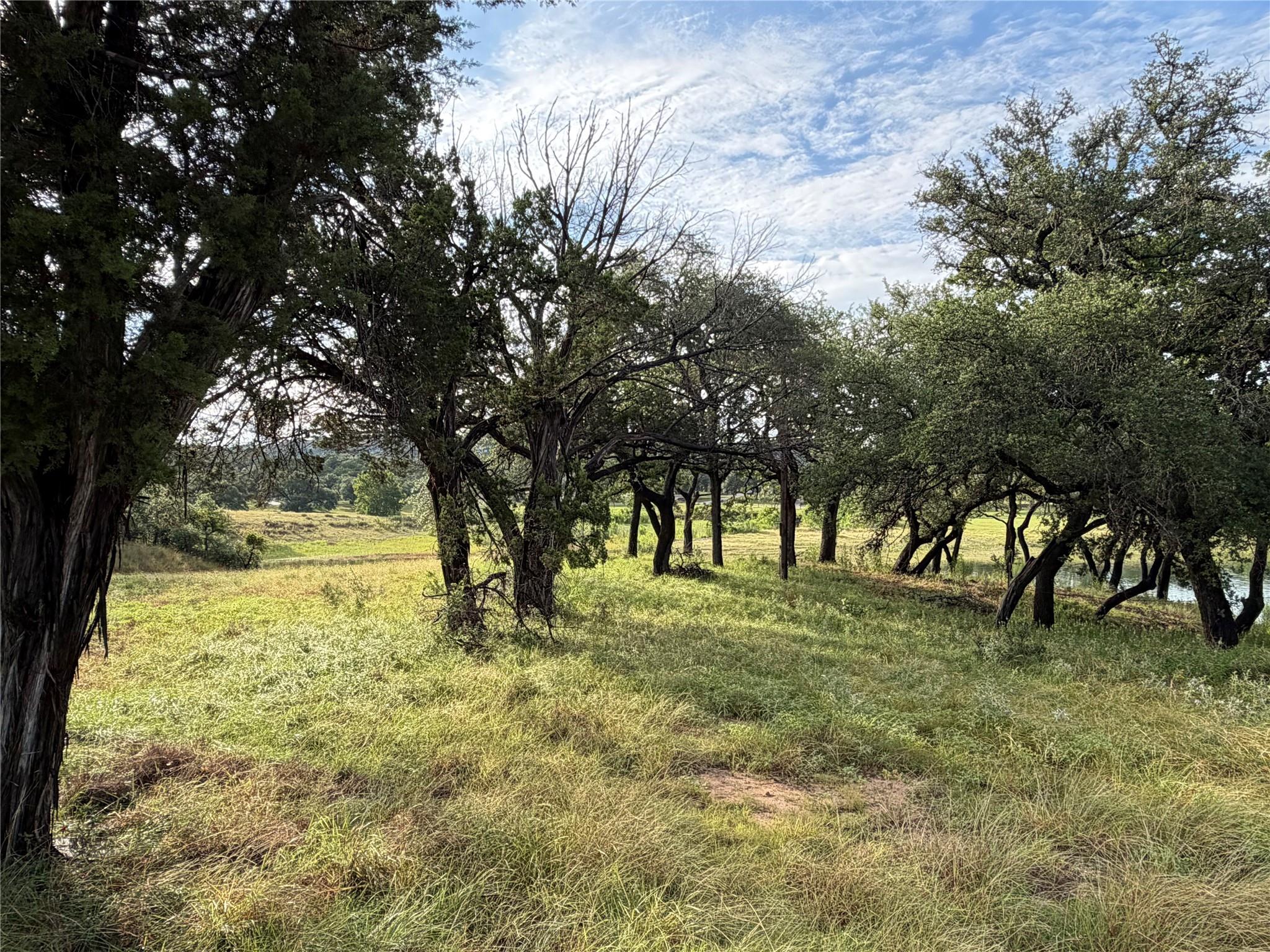 6701 Bar K Ranch Rd Property Photo 5