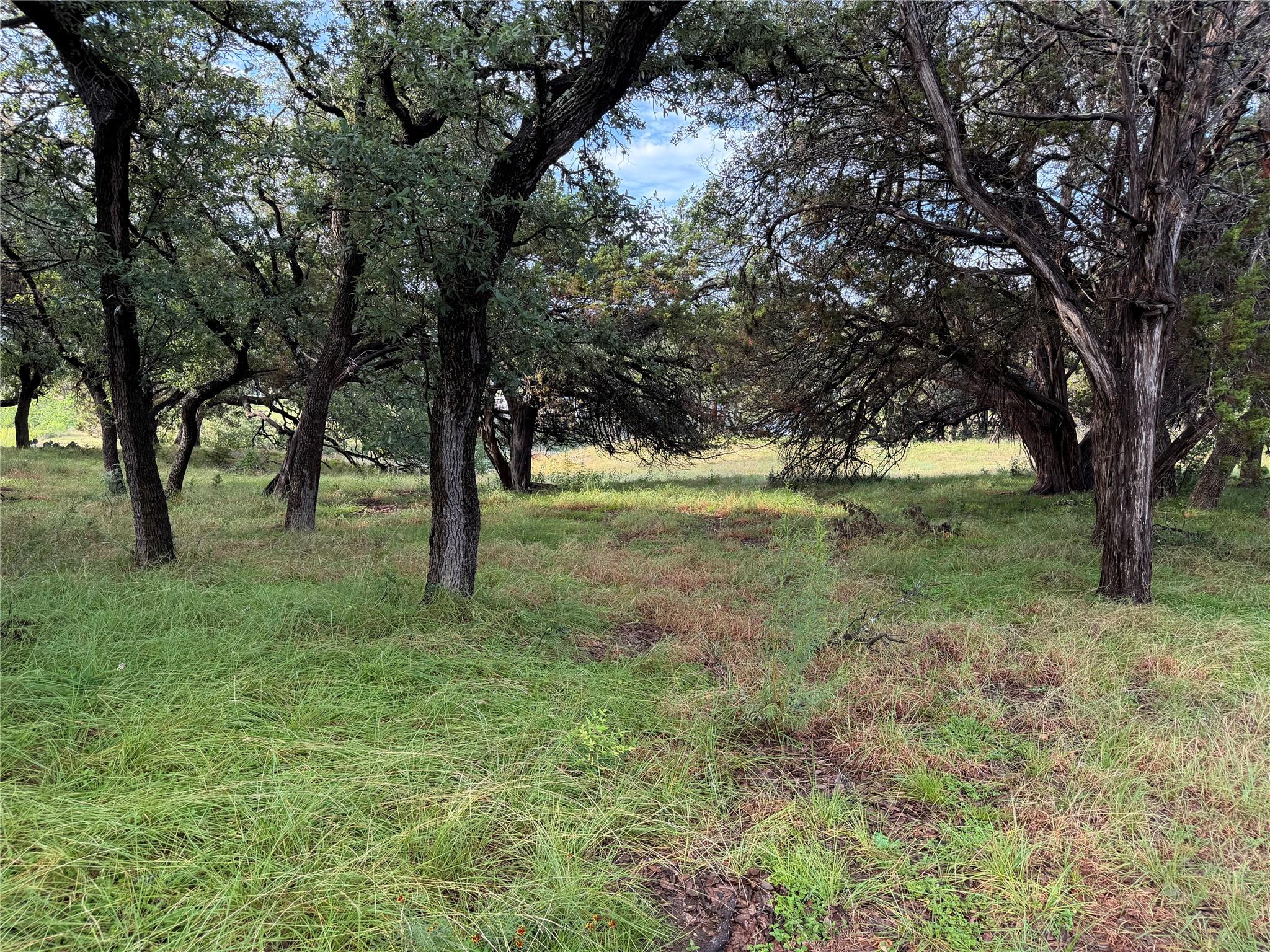 6701 Bar K Ranch Rd Property Photo 6