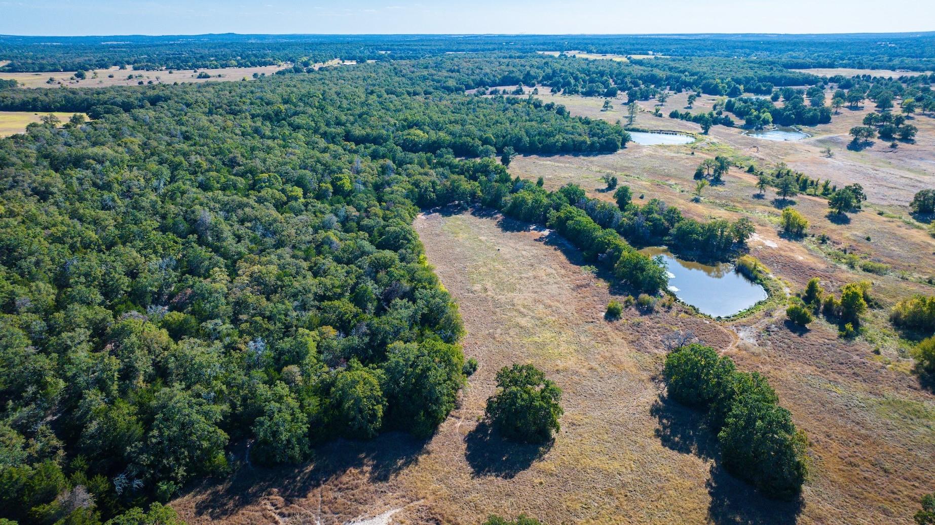 Tbd Lot A 1293 County Road 482 Property Photo 3