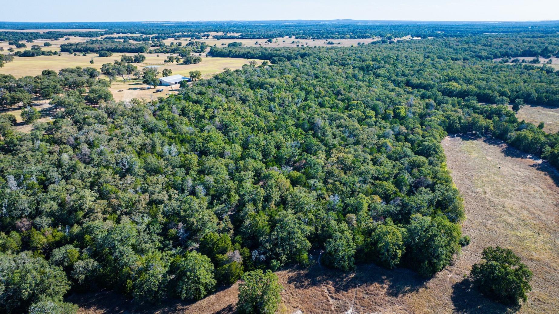 Tbd Lot A 1293 County Road 482 Property Photo 4