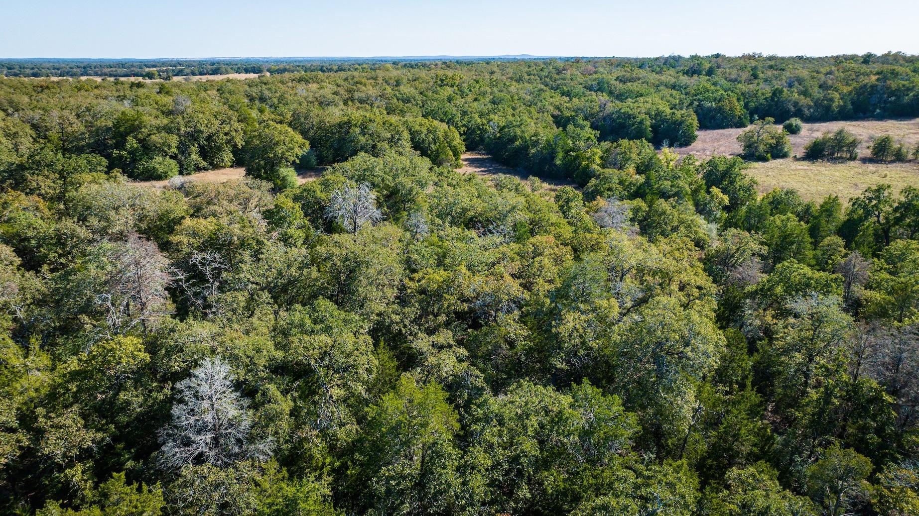Tbd Lot A 1293 County Road 482 Property Photo 8