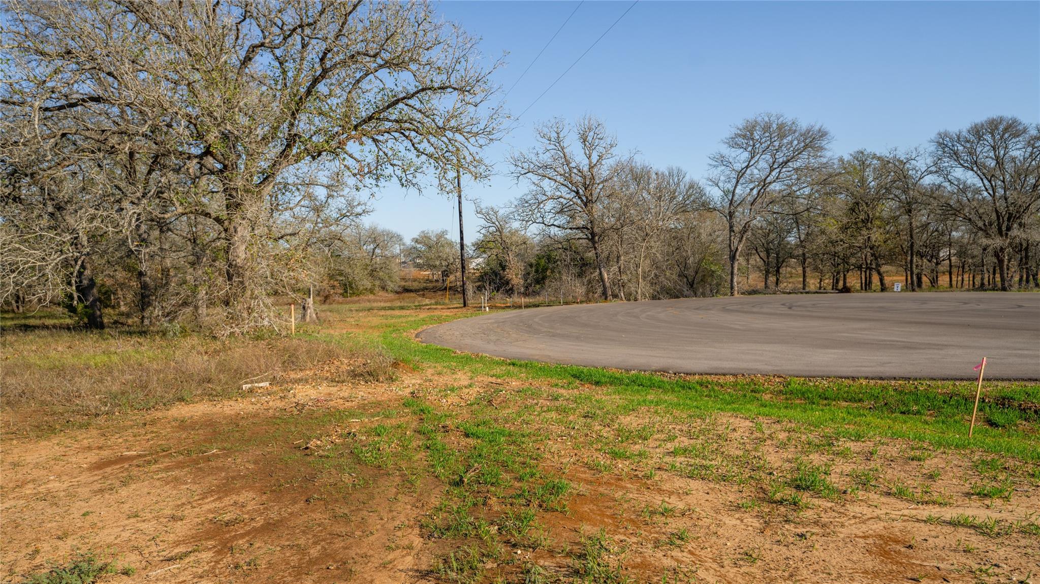 175 Azalea Ct Property Photo 7