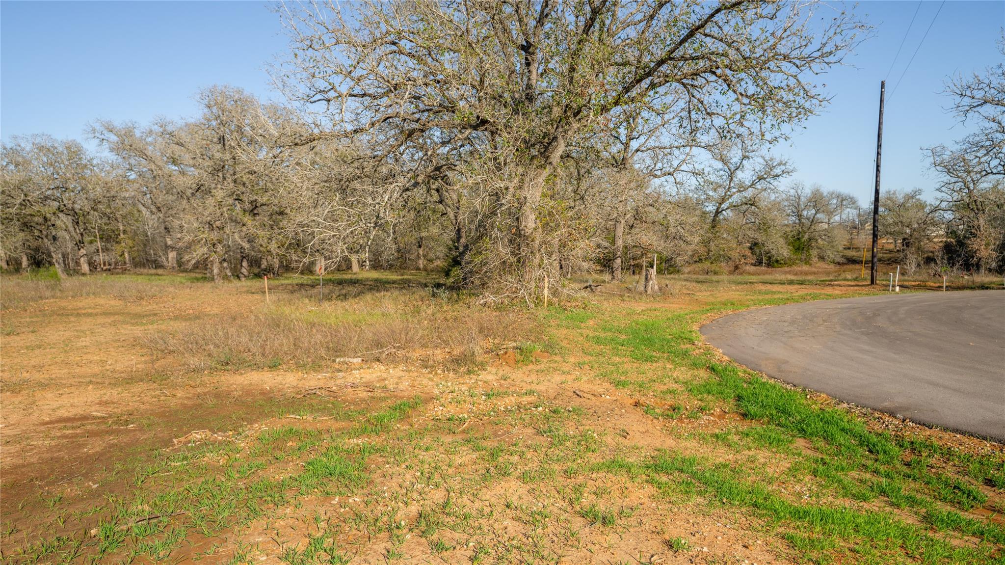 175 Azalea Ct Property Photo 8