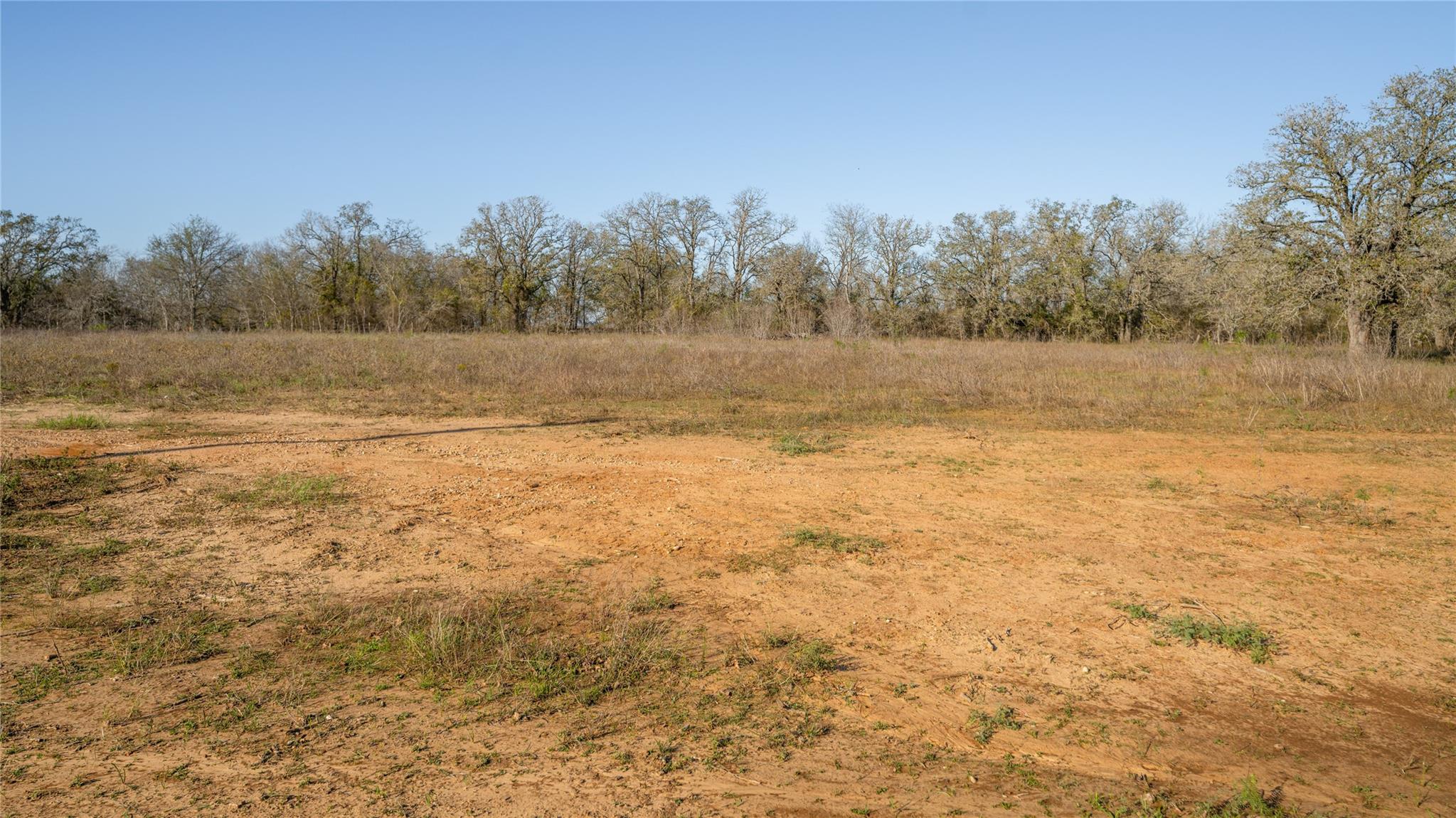 175 Azalea Ct Property Photo 9