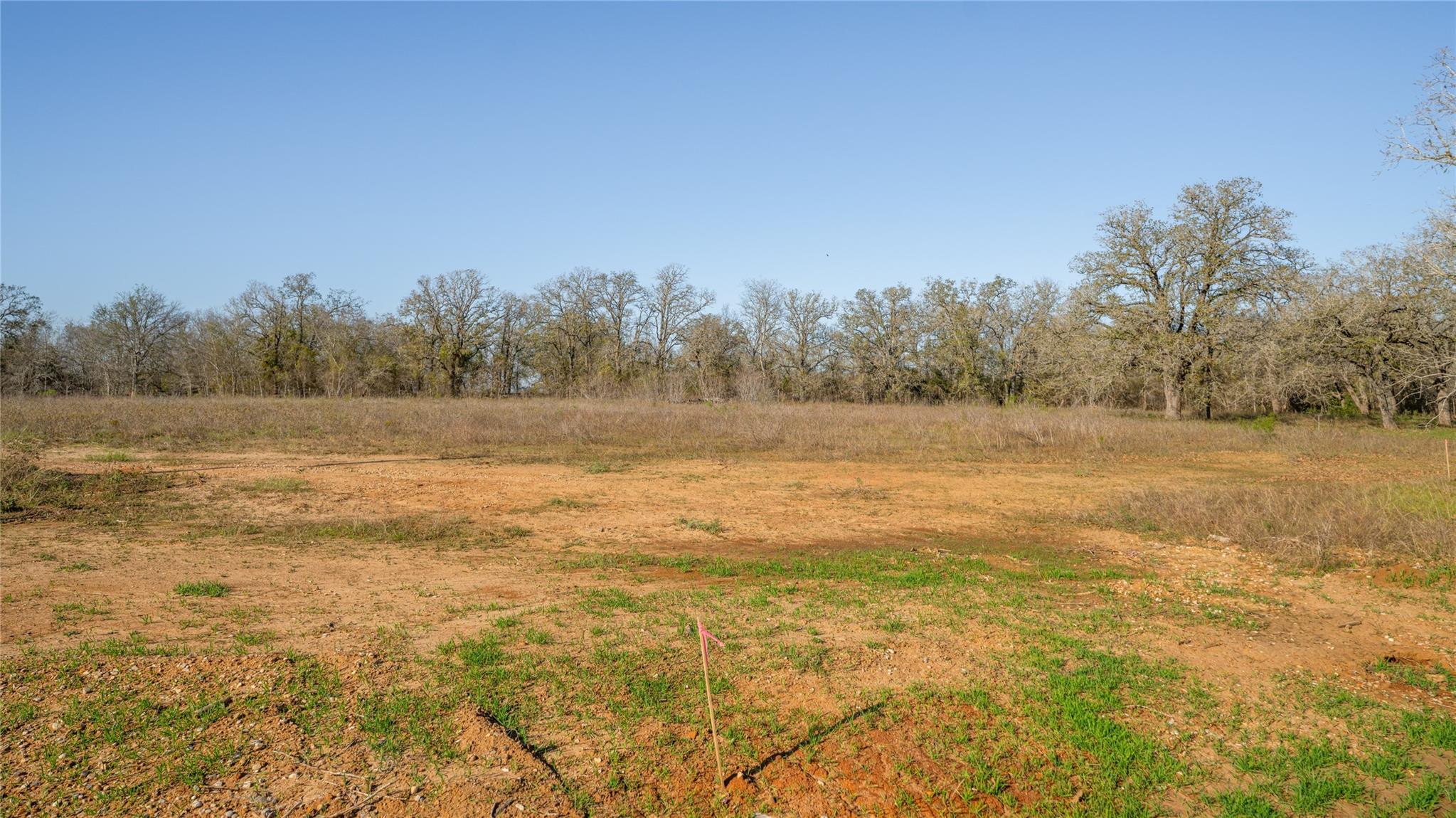 175 Azalea Ct Property Photo 11