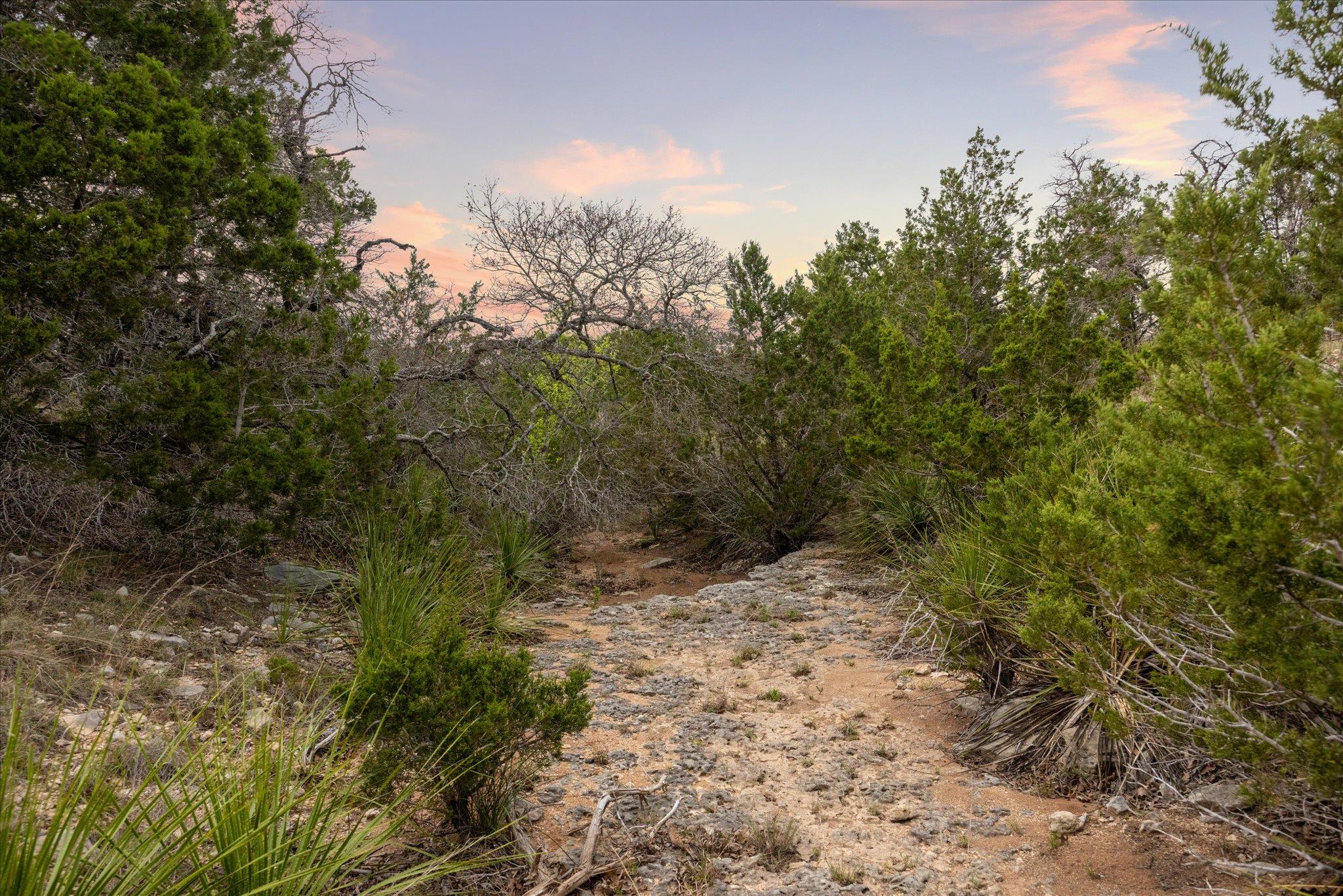 Lot 45 Falling Oak Dr Property Photo 6