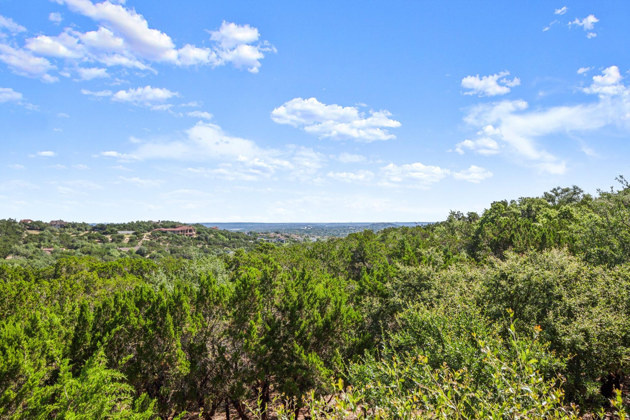 1110 Crestone Stream Dr Property Photo 6