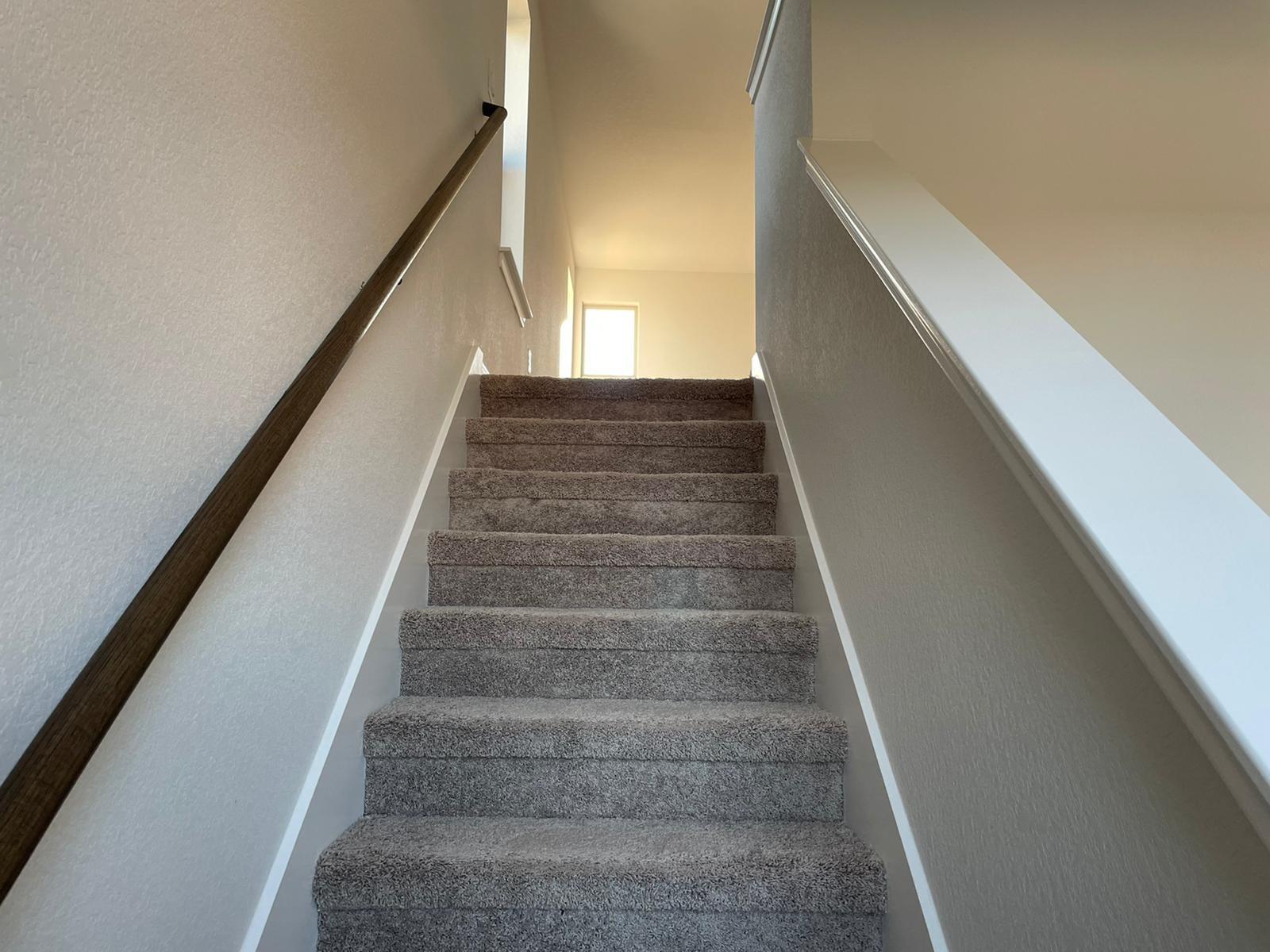 701 Falkland Trce Property Photo 10