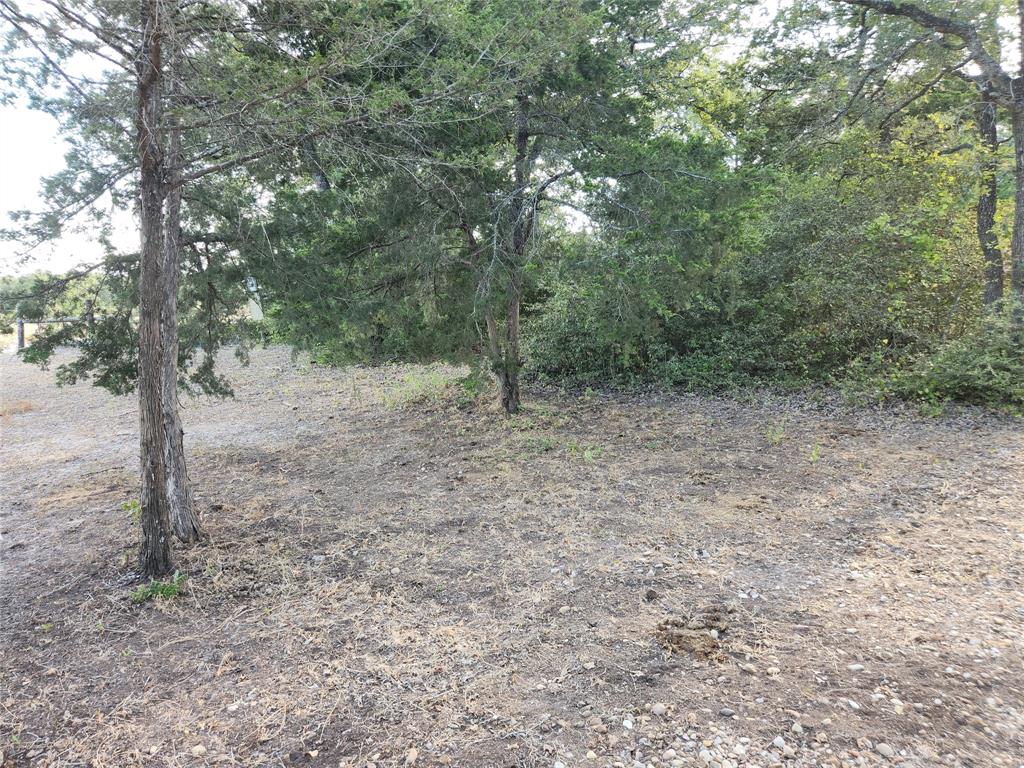 2567 County Road 133 Rd Property Photo 29