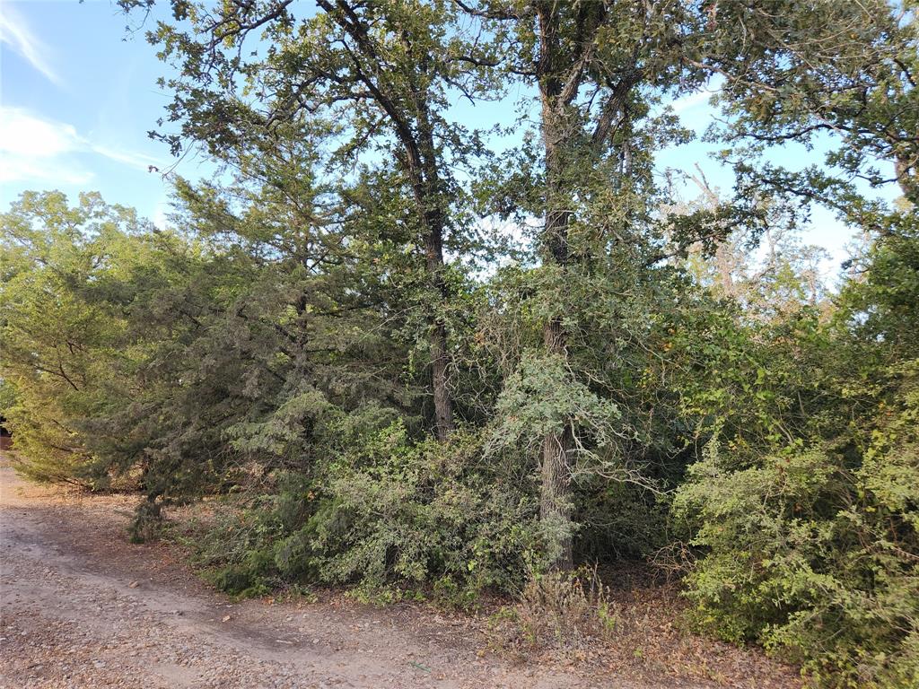 2567 County Road 133 Rd Property Photo 30