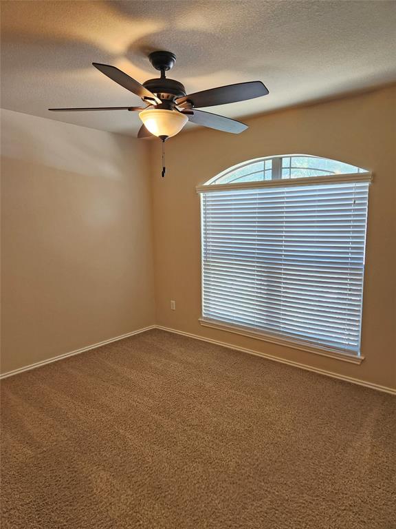 2012 Christoff Loop Property Photo 16
