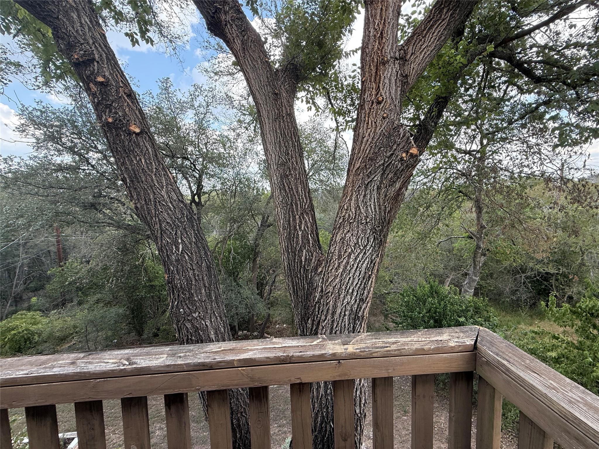 812 Ramble Ln #a Property Photo 9