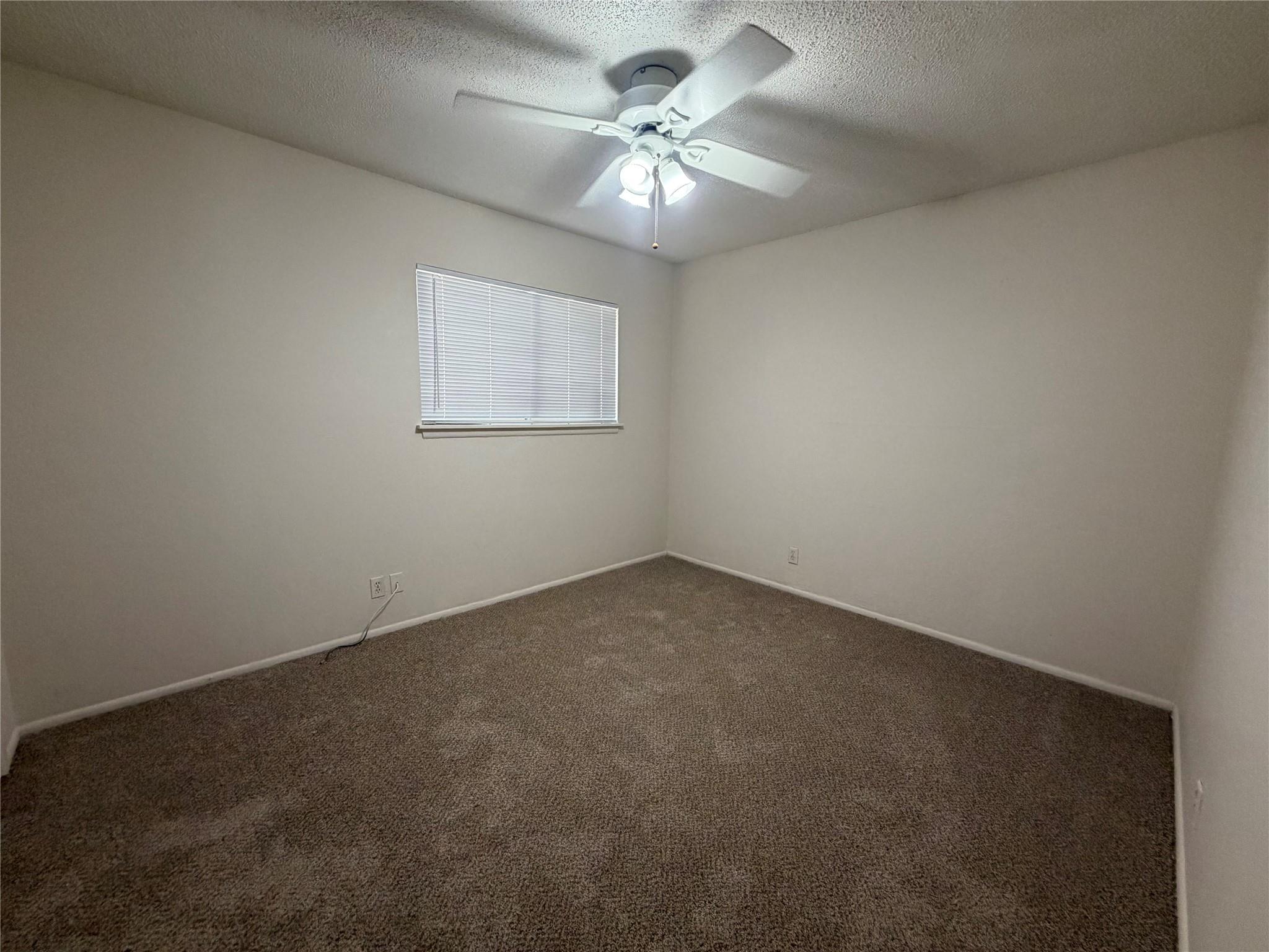 421 Live Oak St Property Photo 12