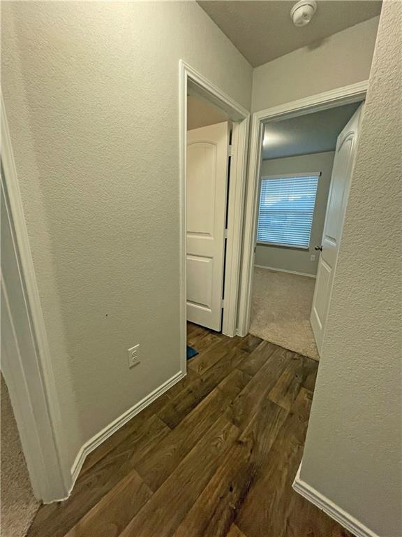 5825 Shanjia Dr Property Photo 8